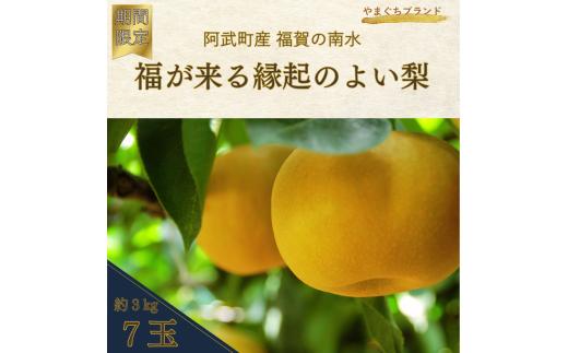 【  先行予約  】 南水梨 約3kg （7玉） 福賀産 （ 山口県 阿武町 ） 高糖度 ＆ シャキシャキ食感 やまぐちブランド認定の旬の味 梨 フルーツ 果物 デザート 【お届け：2025年9月20日頃～順次出荷】 数量限定