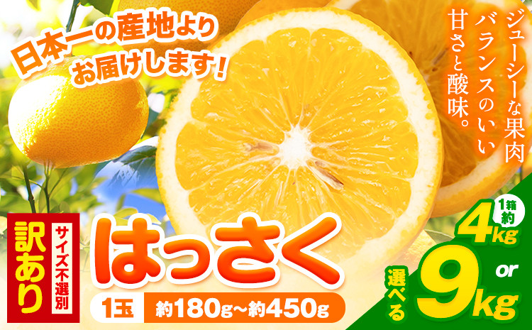 
            訳あり/ご家庭用 紀の川市産 はっさく 約4kg 約9kg (4L~Sサイズ サイズ不選別) 早生･晩生指定不可《2月上旬-3月中旬に出荷予定(土日祝除く)》和歌山県 紀の川市 産地直送 みかん 八朔 柑橘 果物 フルーツ ご家庭用 ビタミンC
          