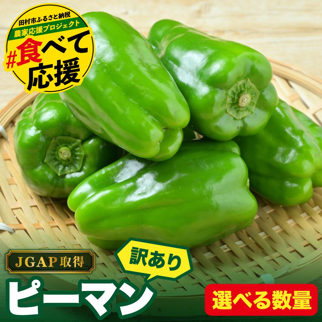 【ふるさと納税】 農家さん応援！ 【訳あり】先行予約 ピーマン 1kg 2kg 選べる内容量 JGAP取得 農家直送 冷蔵便 野菜 新鮮 BBQ 焼肉 国産 おすすめ 送料無料 緊急支援品 生活応援 コロナ支援 福島県 田村市 株式会社Mファーム