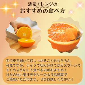 【先行予約】 秀優品 清見オレンジ 5kg 【S～３Lサイズ混合】【2027年3月中旬から2027年4月中旬頃に順次発送】/みかん 清見 和歌山 フルーツ 有田 果物 オレンジ 甘い ジューシー【ag