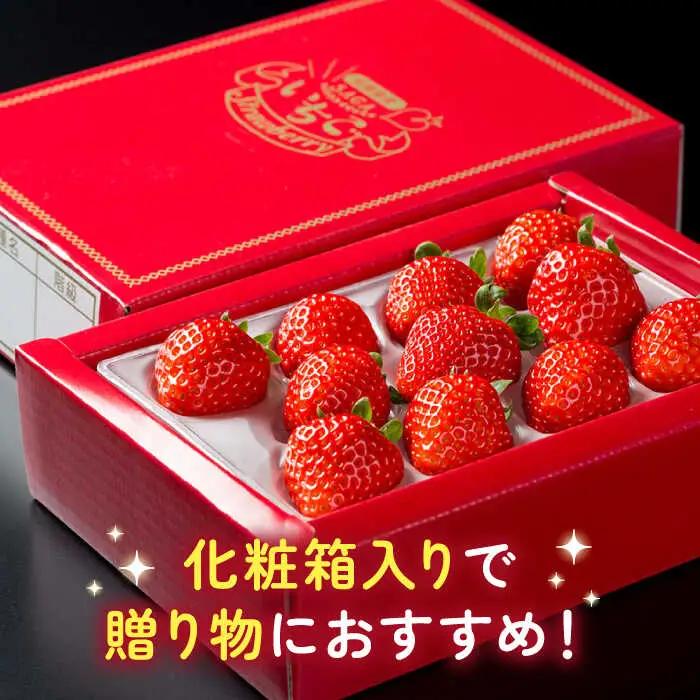 【2027年1月以降順次発送】【化粧箱入り】白石産いちご「さがほのか」400g / 佐賀県 いちご / 岸川農園 [41ASAG003]