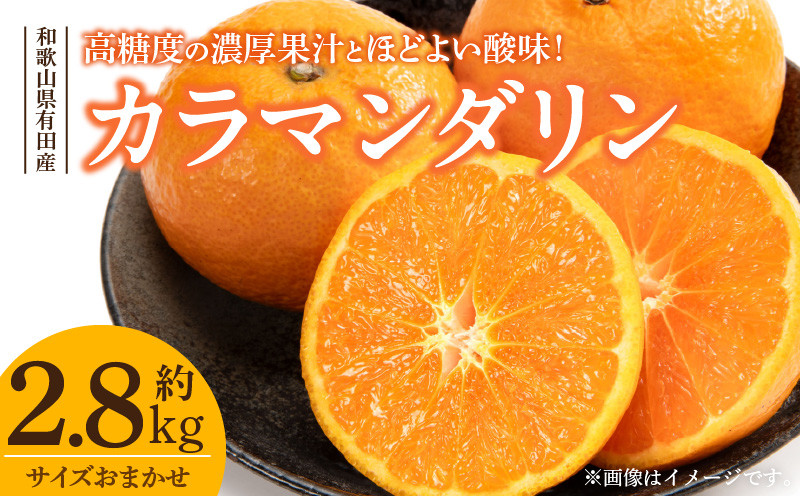 
                  カラマンダリン [約2.8kg] 和歌山県有田産 春みかん (果実サイズおまかせ) 春柑橘 紀伊国屋文左衛門本舗_V7415
                