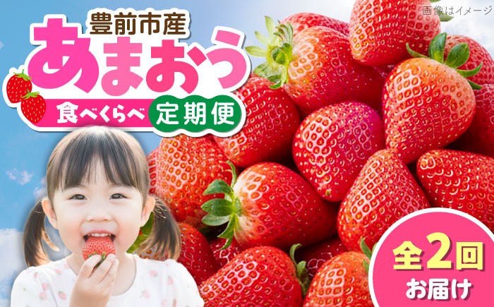 
                  【全2回定期便】あまおう2種食べ比べ返礼品 4万円コース 《豊前市》【豊前市定期便】 [VZZ026]
                