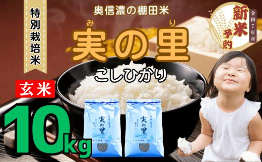 【先行予約】<令和７年産新米> 特別栽培米 『奥信濃の棚田米 実の里』 こしひかり 玄米 10㎏ (7-22A)