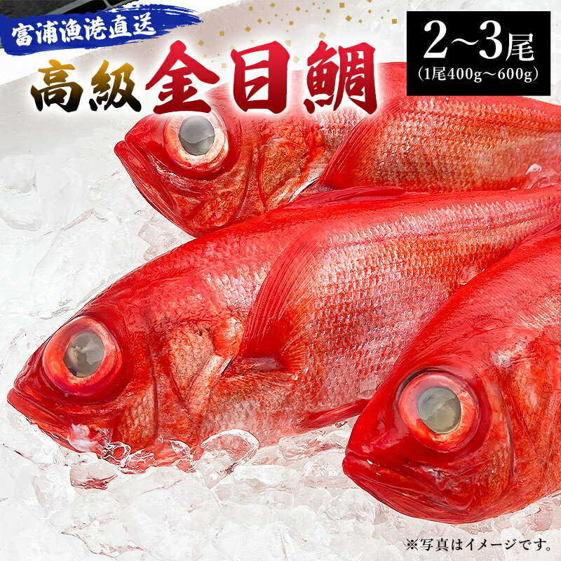 【ふるさと納税】富浦漁港直送「金目鯛」 千葉県 南房総市 グルメ 直送 新鮮 天然 生 刺身 グリル 煮付け 焼き物 煮物 高級 送料無料