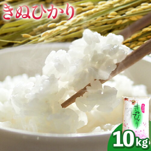 【ふるさと納税】令和7年度産米 きぬひかり 10kg 新米 スマイル 《30日以内に出荷予定(土日祝除く)》和歌山県 日高川町 米 こめ コメ 10kg きぬひかり キヌヒカリ 令和6年産 令和6年度産 送料無料
