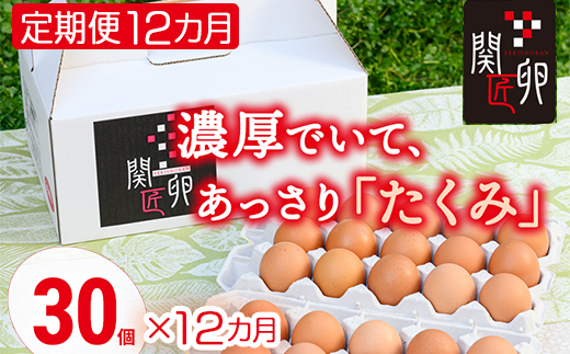 【定期便12か月】関匠卵 たくみ 30個×12か月｜卵 30個 赤玉 玉子 たまご 生卵 鶏卵 産みたて 新鮮 濃厚 健康 TKG たまごかけごはん ご飯のお供 国産 ギフト 贈答 贈り物 お中元 お
