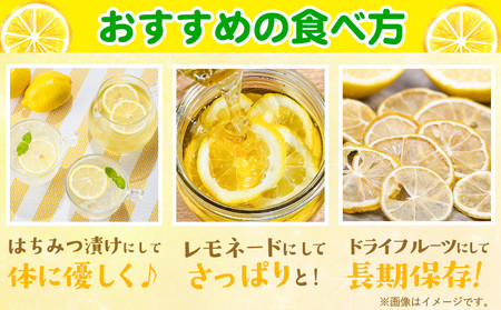 レモン 訳あり 5kg マルセイ株式会社《11月上旬-1月末頃出荷》