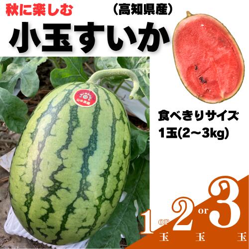 【ふるさと納税】【10月中旬～11月発送】山中農園の小玉スイカ 【姫まくら】（1玉or2玉or3玉) 1玉 2玉 3玉 フルーツ 季節限定 秋 産地直送 完熟 甘い こだま 西瓜 すいか 山中農園/高知県 奈半利町