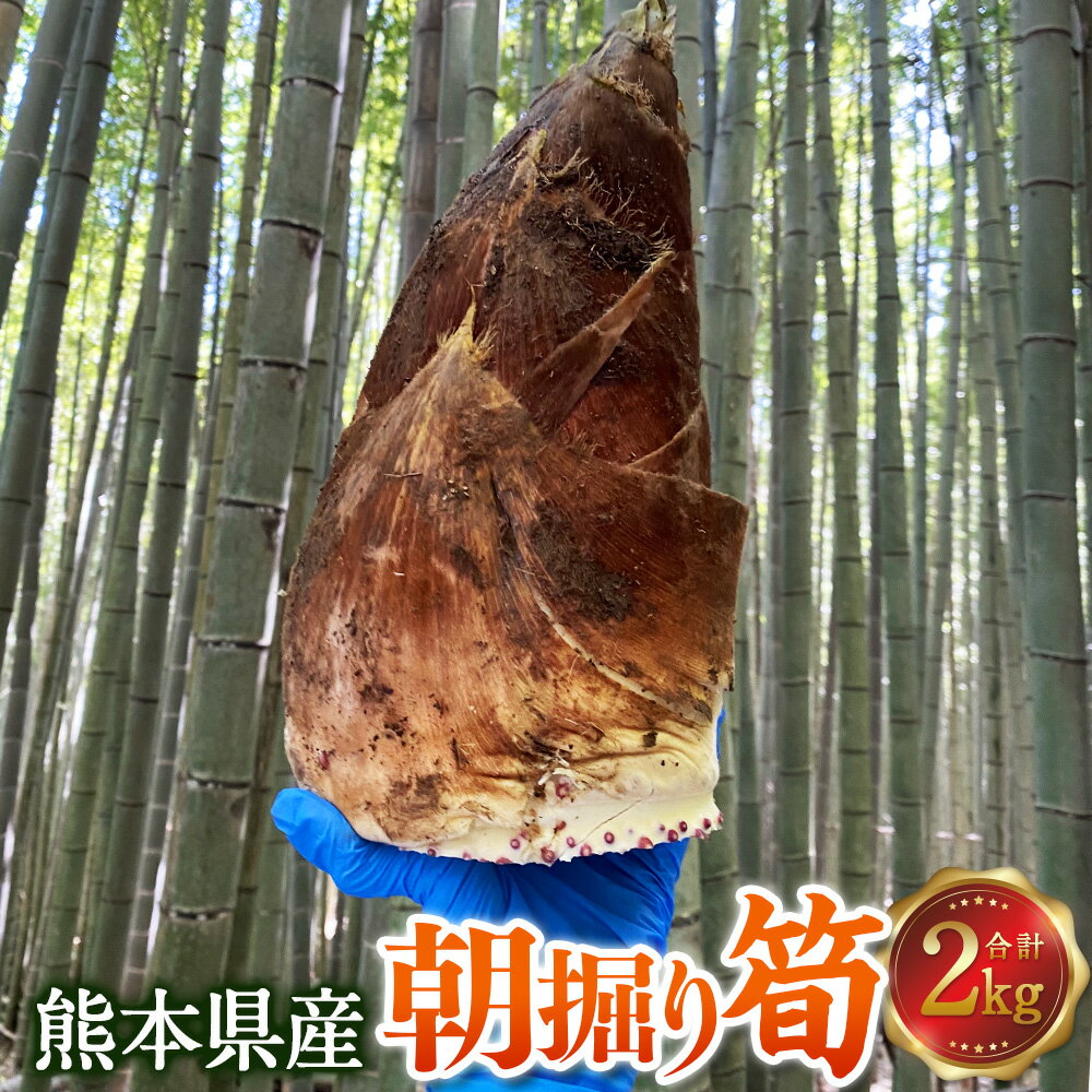 【ふるさと納税】熊本県産朝掘り筍 約2kg たけのこ タケノコ 国産 旬 皮付き 野菜 新鮮 朝掘り 煮物 お吸い物 サラダ 冷蔵 九州 熊本県 送料無料 【2027年4月1日～2027年4月30日発送予定】