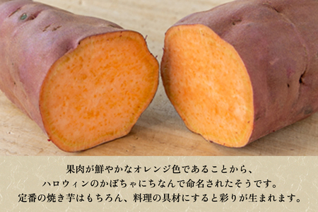 【家庭用】ハロウィンスイート 1kg（A品・B品混在） 新潟県加茂市七谷産 さつまいも《10月下旬〜順次発送》 サツマイモ お芋 焼き芋 スイートポテト 野菜 根菜 低温熟成 加茂市 YAGOROU 