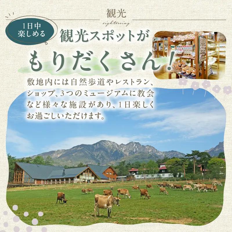清泉寮 ホテル＆コテージ 宿泊補助券 (6,000円分) [h111]
