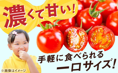 【やさしい甘さと程よい酸味】人気のドトマト1号 2kg（1kg×2箱） / トマト とまと サラダ 野菜 / 佐賀県 / 永尾産ち[41AAAC001]