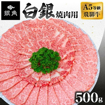 【ふるさと納税】【毎月定期便】【飛騨牛】白銀焼肉用500g全3回_ 牛肉 肉 和牛 黒毛和牛 焼肉 人気 お取り寄せ グルメ 冷凍牛肉 ブランド牛肉 バーベキュー 銀角 【配送不可地域：離島】【4090430】
