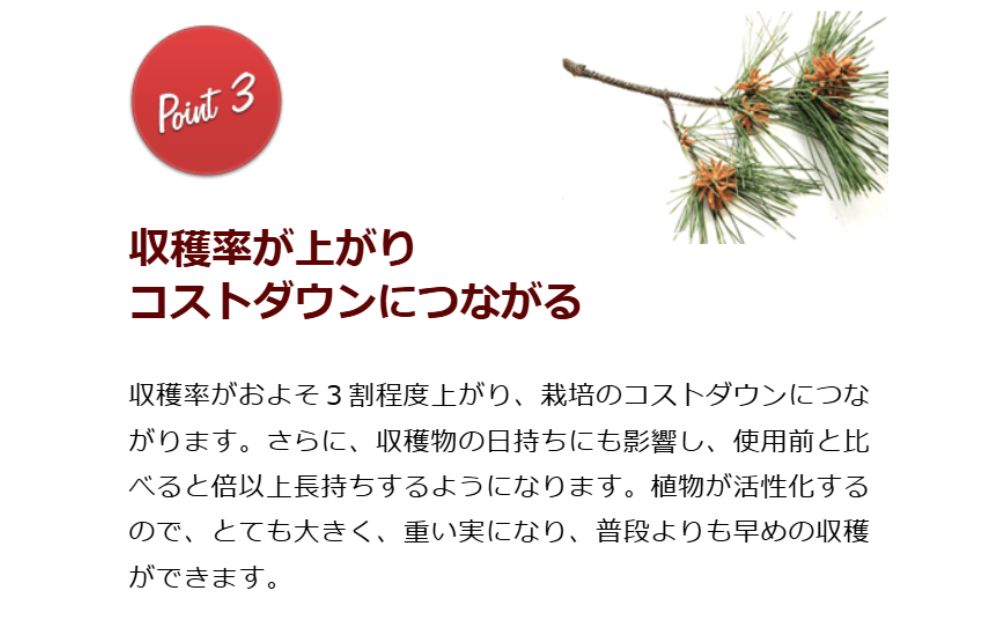 HB-101 セット