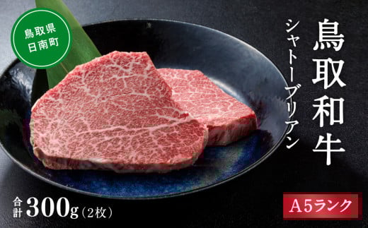 A5ランク 鳥取和牛シャトーブリアン 2枚 合計300g 牛肉 精肉 肉 カタセイ シャトーブリアン ヒレステーキ ヒレ ステーキ 肉 フィレステーキ ステーキ お肉 和牛 高級ヒレステーキ ヒレ肉 最高級 黒毛和牛 牛肉 お肉