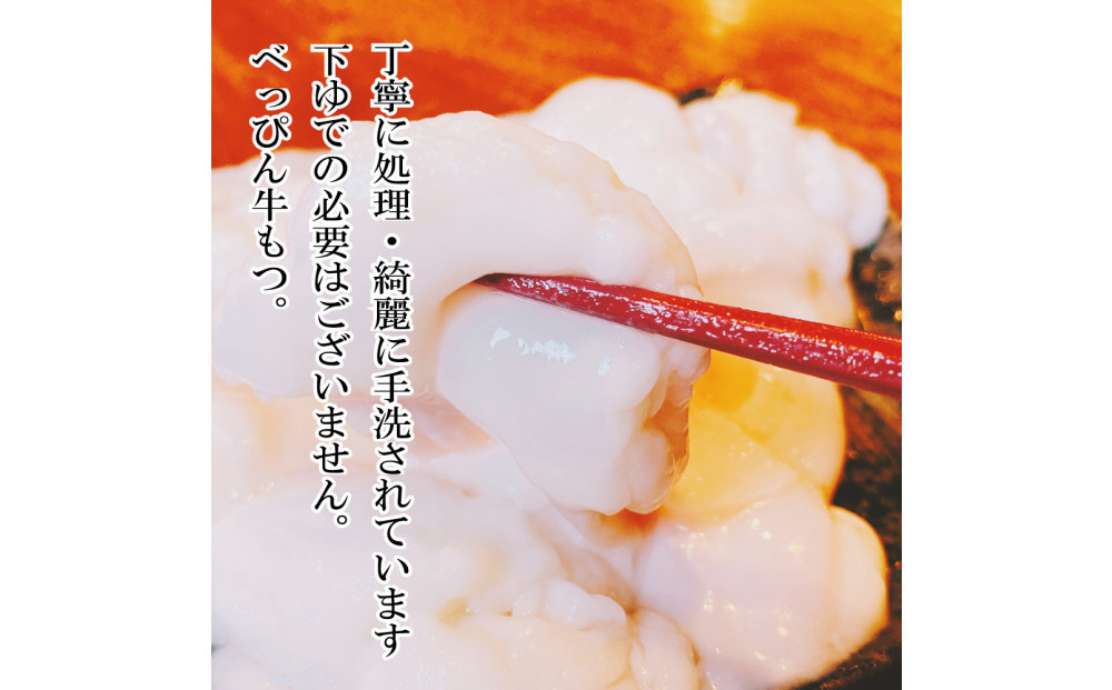【生もつ鍋フルセット】名物 国産牛もつ鍋 コク味噌味 2～3人前 野菜・ラーメン付き フルセット【指定日配達】【冷蔵便】