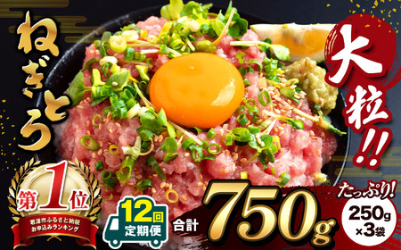 【 定期便12回 】 大人気！ねぎとろ 750g （ 250g × 3袋 ） 清幸丸水産 | ネギトロ とろ 鮪 まぐろ マグロ 海鮮 魚介 魚 人気 小分け 人気 定番 ご飯 オススメ 千葉県 君津市 
