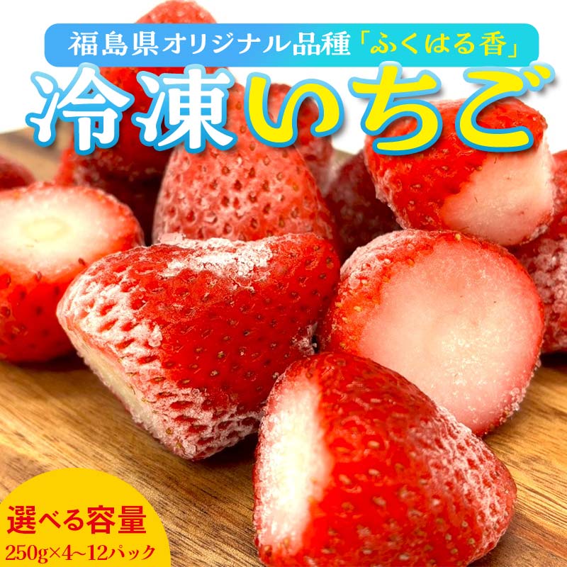 【ふるさと納税】＜選べる容量＞冷凍いちご 福島県オリジナル品種 「ふくはる香」 1kg～3kg（250g×4～12） いちご イチゴ 苺 福島県 鏡石町 鏡石農遊園 F6Q-344var