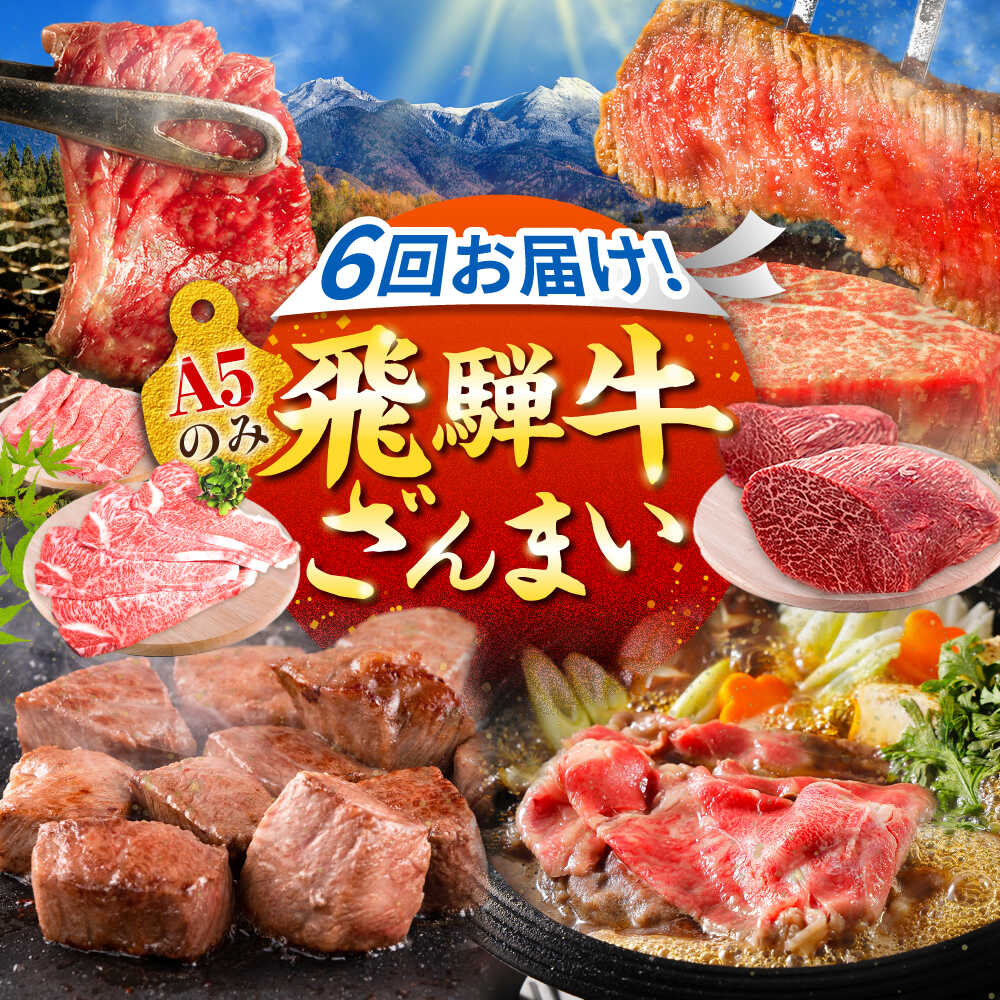 【ふるさと納税】【6回定期便】肉のキング 飛騨牛満喫セット / 飛騨牛 サーロイン ステーキ 肉 詰め合わせ セット 岐阜県 / 御嵩町 / 肉のキング[AVAG020]