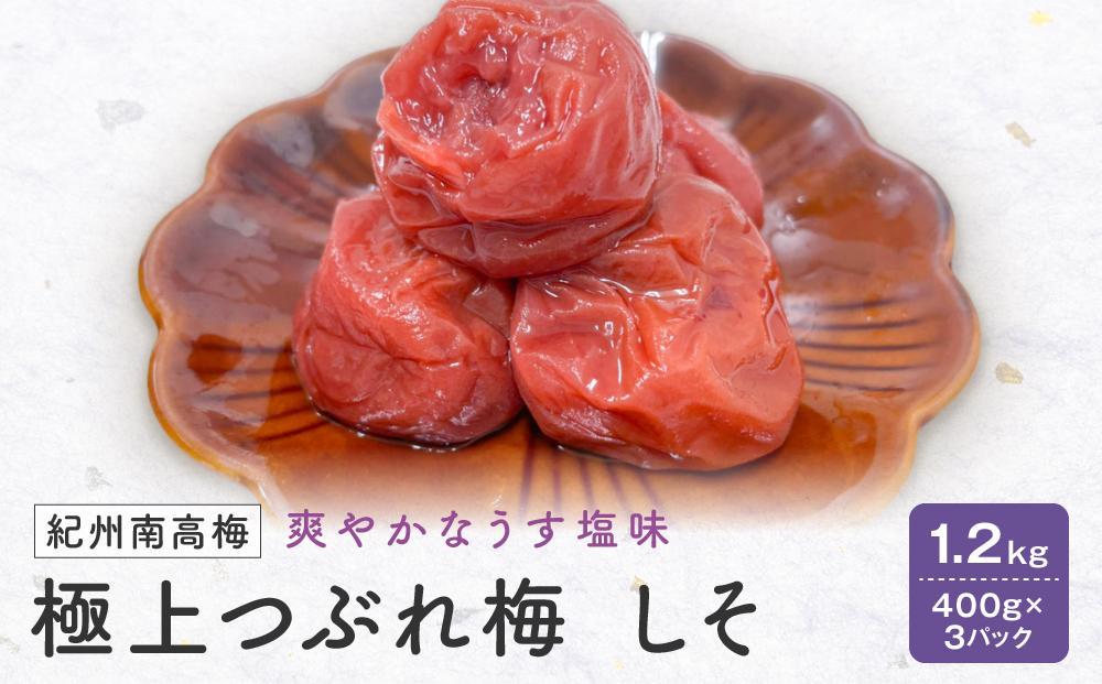 紀州南高梅　極上つぶれ梅　しそ1.2kg（400ｇ×3個） 塩分約7％
