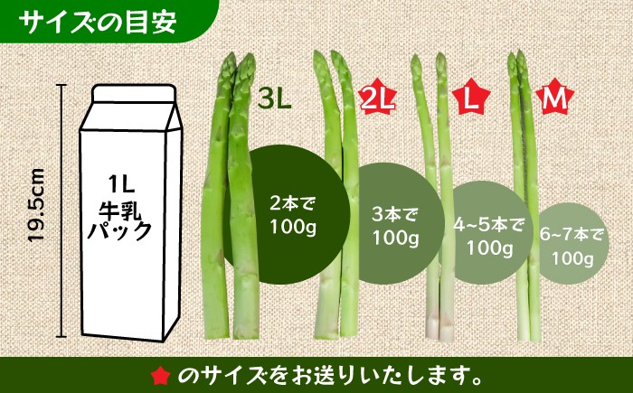 アスパラガス アスパラ 野菜 やさい 訳あり 期間限定