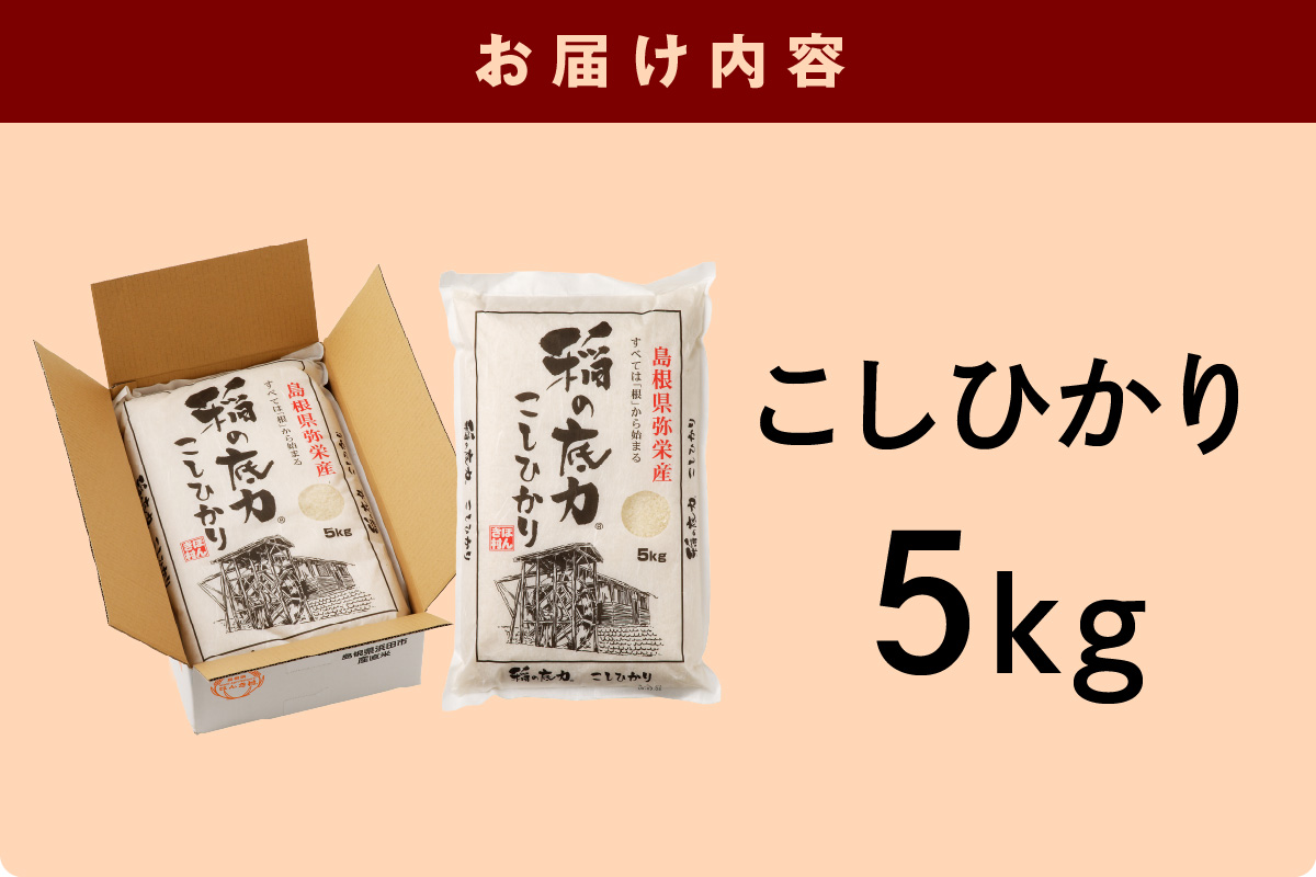 【令和6年産】浜田産「稲の底力こしひかり」5kg 米 お米 こしひかり 新生活 応援 準備 5キロ 1等米【969】