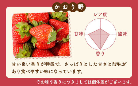 【R8年1月以降発送】こころの色×かおり野 紅白いちごセット  計920g （こころの色220g×2パック、かおり野240g×2パック） 【StrawberryFarm-K】紅白いちご 希少 いちご 