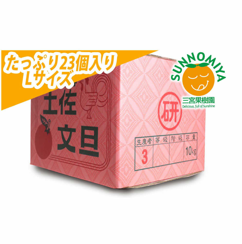 【ふるさと納税】【先行予約】三宮果樹園の土佐文旦 ご家庭用Lサイズ 10kg〈2027年2月14日～2027年3月15日発送〉ぶんたん ブンタン 10キロ フルーツ 柑橘 みかん 果物 くだもの 柑橘類 デザート ご自宅用 ご家庭用 自分用 お取り寄せ 高知県土佐市【三宮果樹園】[BQAP007]