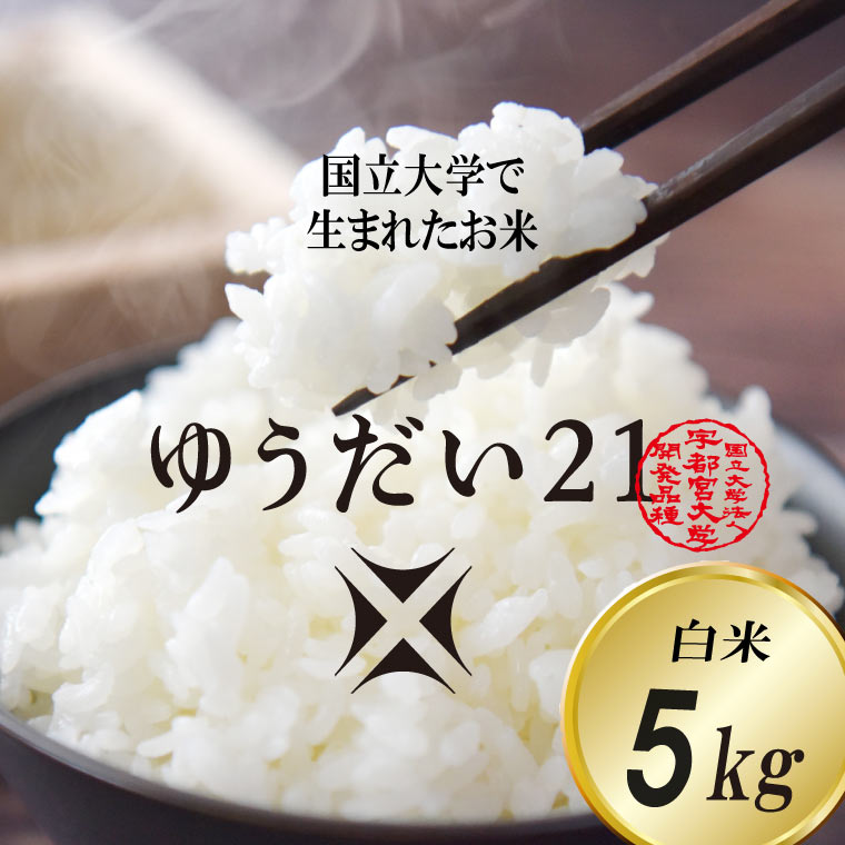 【ふるさと納税】＼令和7年産・先行予約／【数量限定】あい　farm　やなぎのお米　令和7年産 ゆうだい21 白米 5kg | 栃木県 益子町 ふるさと納税 お米 米 5kg 白米 (DQ006)