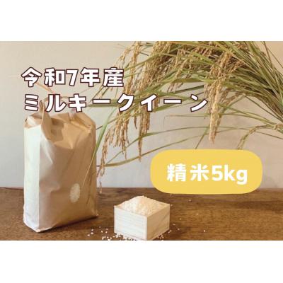 ふるさと納税 栃木市 【令和7年産】栃木市岩舟町産ミルキークイーン5kg【精米】