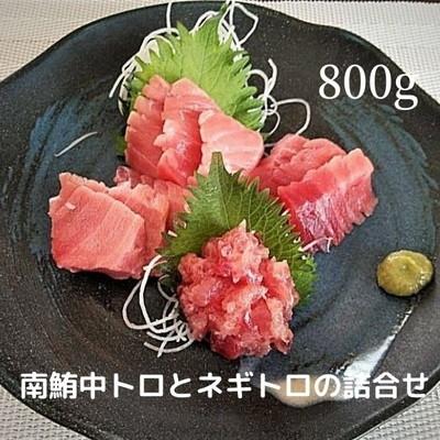 ふるさと納税 焼津市 天然 南鮪 中トロ と ネギトロ の 詰合せ 約800g入(a20-313)