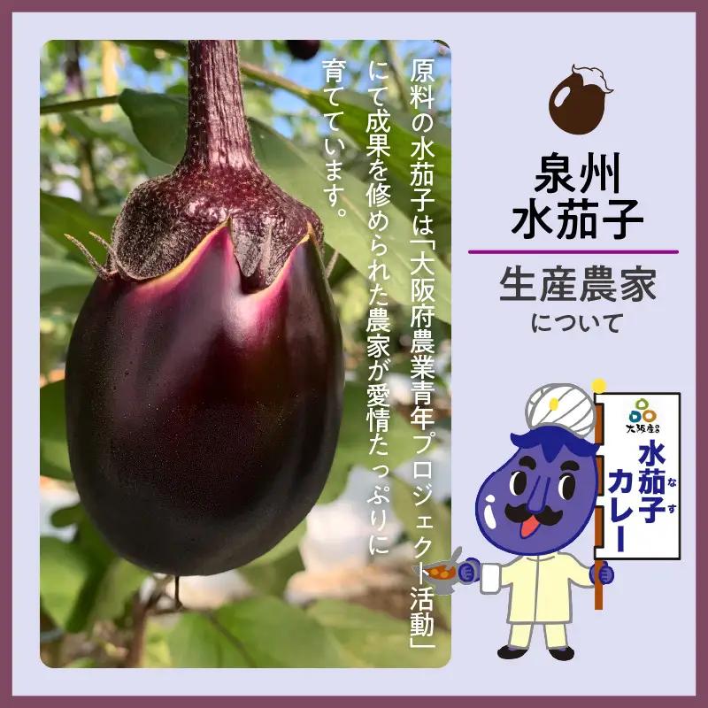 大阪産（おおさかもん）泉州水なすカレー 12箱 【御守つき】（レトルト 常温 簡単調理 レトルト食品 レトルトカレー かれー カレー カレールウ カレールウセット カレールー カレールーセット 人気カ
