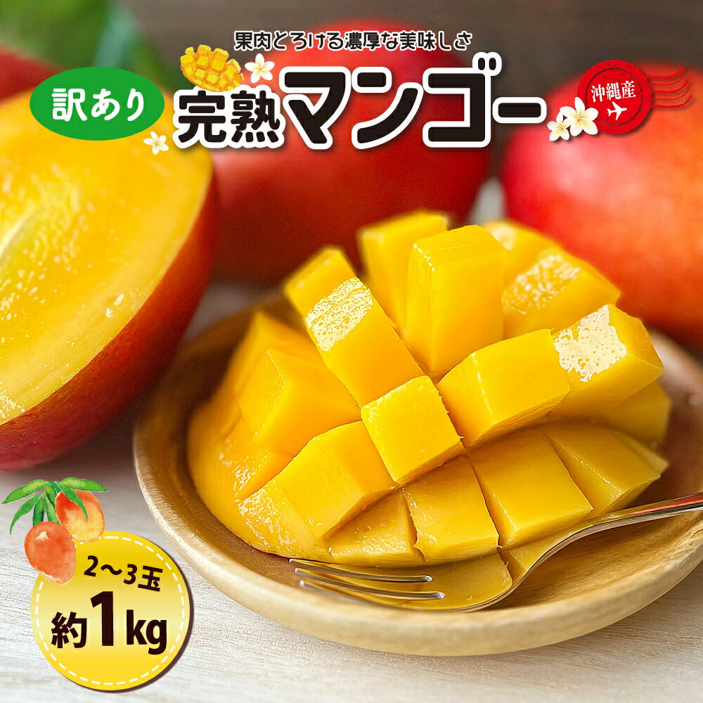 【ふるさと納税】訳ありマンゴー1kg （2〜3玉）【熱帯資源植物研究所】 マンゴー 沖縄 完熟マンゴー アップルマンゴー フルーツ 果物 産地直送 国産 お取り寄せ うるま市