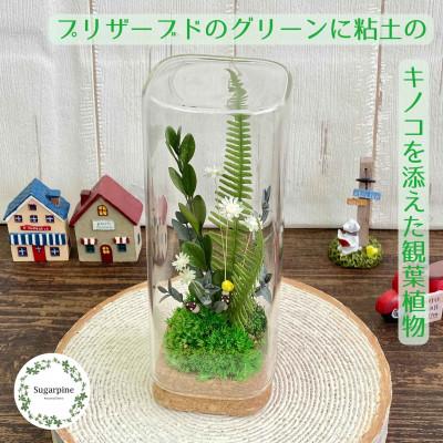 ふるさと納税 春日部市 プリザーブドフラワーアレンジ【トリル】 春日部市 シュガーパイン