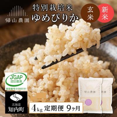 ふるさと納税 知内町 【令和8年産新米先行受付】【9カ月定期便】特別栽培米産地直送玄米ゆめぴりか2kg×2個 箱入