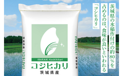 令和7年産 茨城県産 コシヒカリ5kg【お米 米 こしひかり ごはん 茨城県】（03-48）