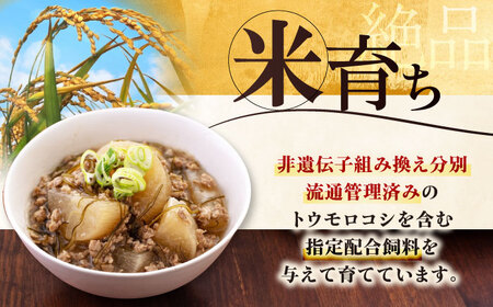 【全3回定期便】三元豚 ひき肉600g《喜茂別町》【平田牧場】 肉 豚肉 ミンチ 豚ミンチ 餃子 つくね 冷凍配送[AJAP119]