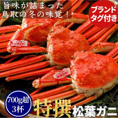 ふるさと納税 八頭町 【ボイル】特撰 松葉がに(タグ付き)700g超の大きいサイズ　特大3杯