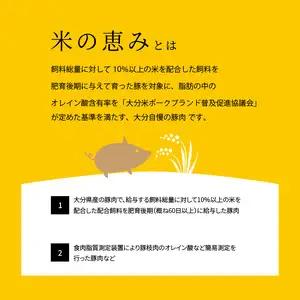 米の恵み　ロースかつ　約120g×5枚 A02011