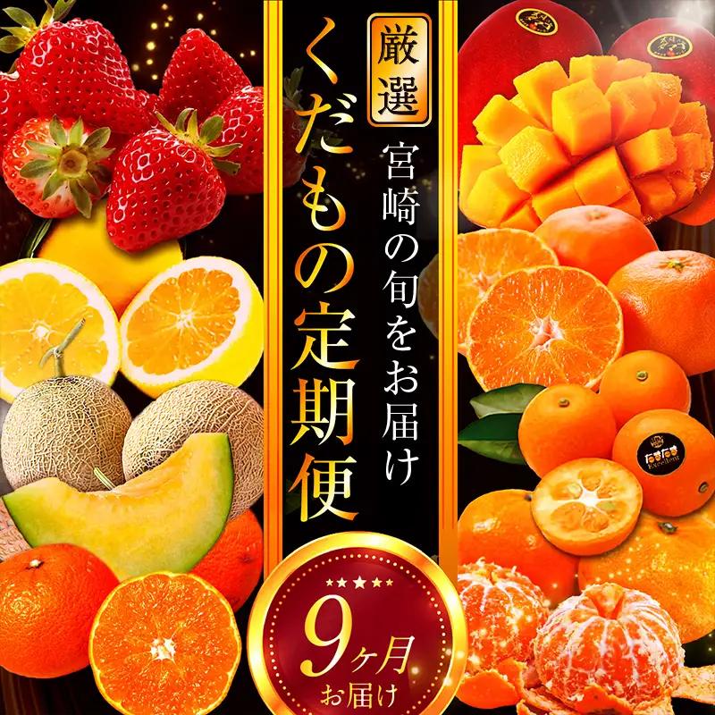 フルーツ 定期便 フルーツ [青果店厳選 くだもの 果物 Vol.3 全9回]