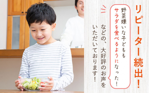 スムージー専門店が作った「美味しすぎるドレッシング」 3本セット （玉ねぎ・人参・ごぼう 各300ml）【ビタミン・スタンド】 [OAK013] 調味料 肉料理 魚料理 ソース カルパッチョ 南蛮漬け