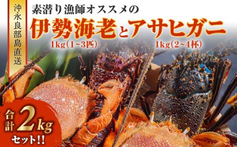 沖永良部島直送！素潜り漁師オススメの伊勢海老1キロ（1～3匹）とアサヒガニ1キロ（2～4杯）　合計2キロセット！！