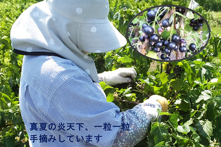 カシス果汁100％ジュース（無加糖・無添加）　250ml×2本