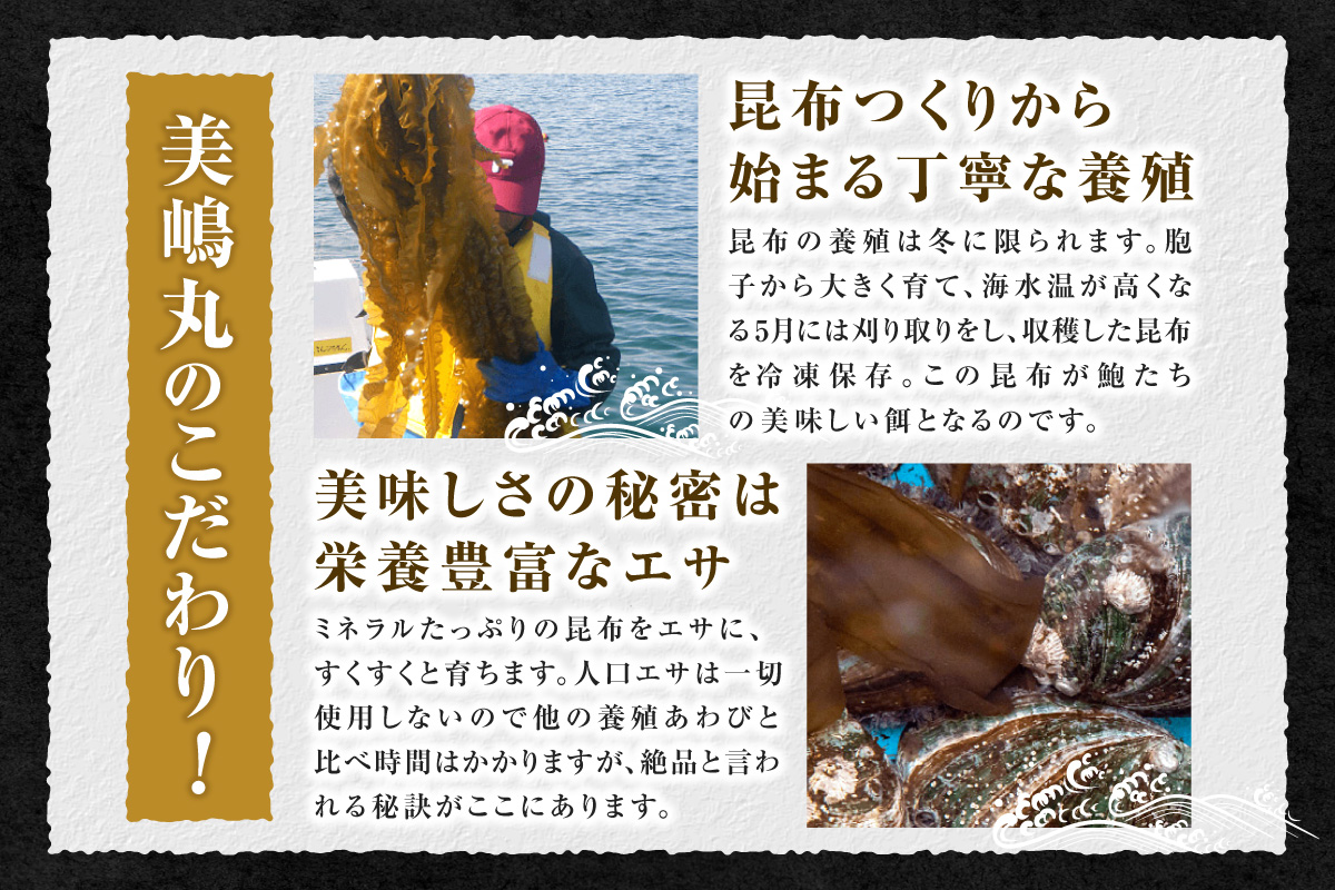 【冷蔵 活あわび 養殖 9.5cm×2枚 200～240g (1個100～120g）】満点青空レストラン うまい！おせち2023に採用されました 新鮮 発送目安：入金確認後1ヶ月以内 日本海 香住で育