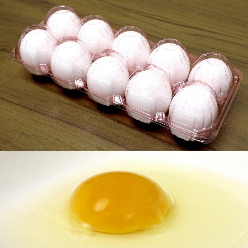 M95-0104_【ふるさと納税】 卵 新鮮【うらしま卵】～竜宮からの贈りもの～たまご５０個（45個＋割れ補償5個） [ うらしま卵 新鮮 卵 たまご 国産 鶏卵 浦島 産地直送 50個セット 割れ補