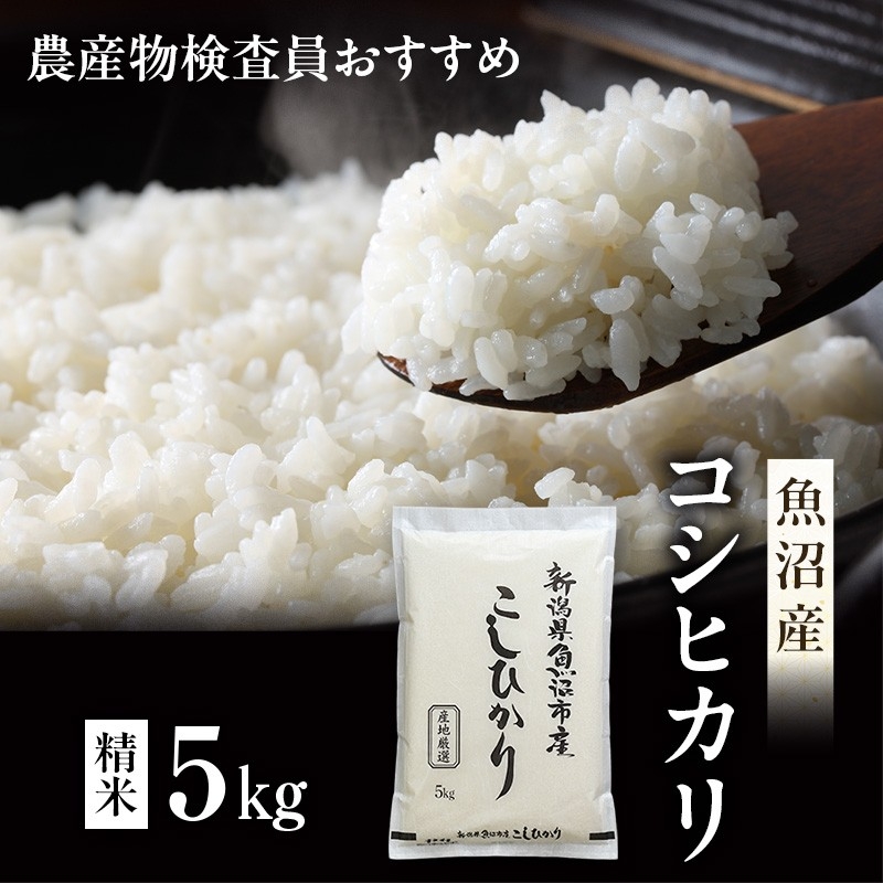 
                  [№5762-1369]先行予約 令和8年産 農産物検査員お奨め 魚沼産こしひかり（精米）5kg お米 コシヒカリ
                