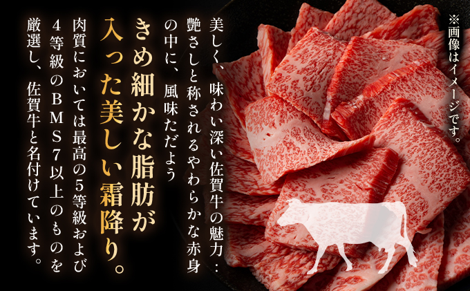 艶さし！【A4～A5】佐賀牛焼肉用　500g