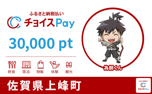 
            上峰町チョイスPay 30,000pt【会員限定のお礼の品】
          
