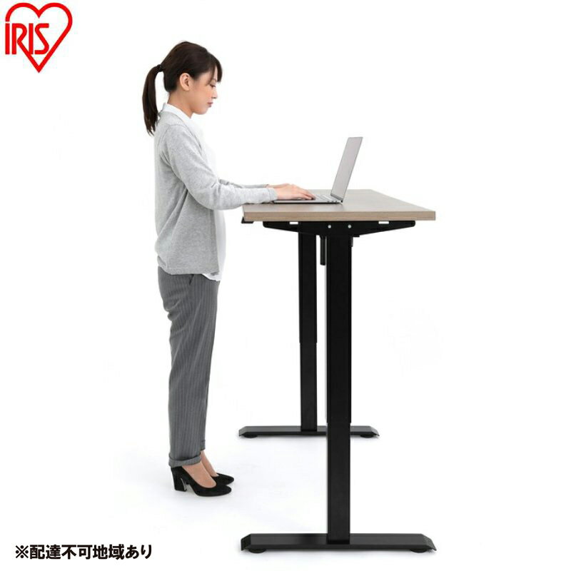 【ふるさと納税】テーブル 電動昇降テーブル DST-1200 ブラック 昇降テーブル 電動 高さ調節 テーブル 無段階調節 オフィスデスク パソコンデスク 電動 デスク 立つ 座る 仕事 アイリスオーヤマ